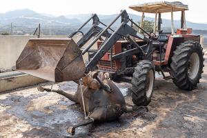 Scano Montiferro, i danni dell'incendio (© foto S.Novellu)
