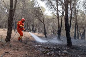 Scano Montiferro, i danni dell'incendio (© foto S.Novellu)