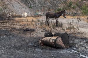 Scano Montiferro, i danni dell'incendio (© foto S.Novellu)