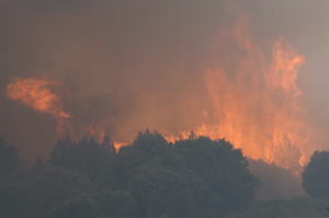 Incendio a Scano Montiferro (foto S.Novellu