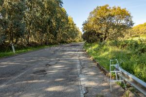 Segnaletica insesistente in un tratto pericoloso della SP 43 (foto S.Novellu)