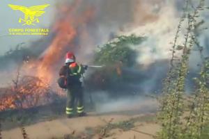 La Caletta. Incendio a Monte Longu