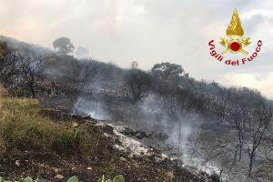 La Caletta. Incendio a Monte Longu