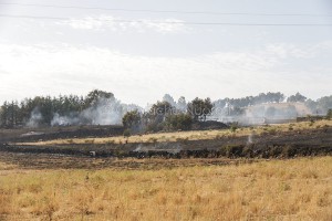 Incendio-15