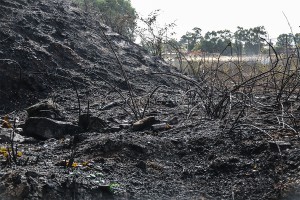 Incendio-16