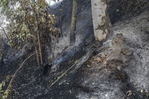 Incendio-18