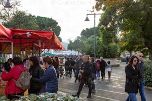 Mastros e massajos in Nugoro 2018 57