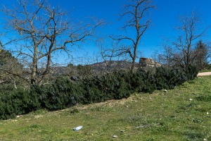 Nuoro, rifiuti al Parco di Tanca Manna (foto S.Novellu)