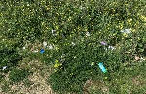 Nuoro, rifiuti al Parco di Tanca Manna (foto S.Novellu)