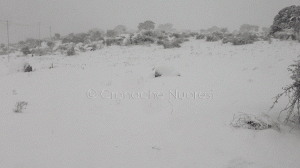 Orune, pastori bloccati in campagna dalla neve