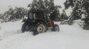 Orune, pastori bloccati in campagna dalla neve