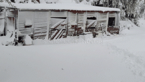 Orune, pastori bloccati in campagna dalla neve