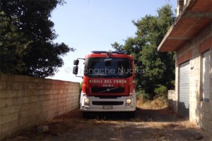 Sarule-01