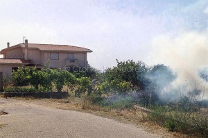 Sarule-03