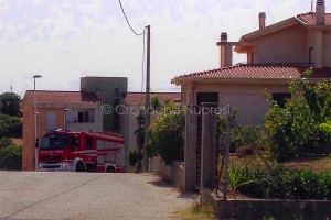 Sarule-04