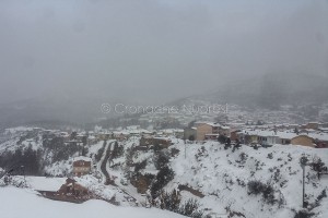 Tonara